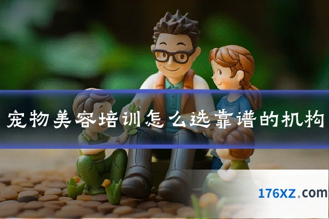 宠物美容培训怎么选靠谱的机构