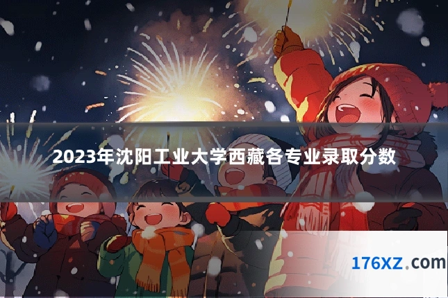 2023年沈阳工业大学西藏各专业录取分数