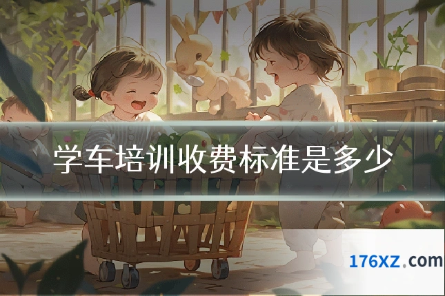 学车培训收费标准是多少