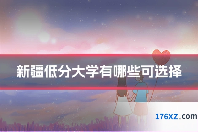 新疆低分大学有哪些可选择