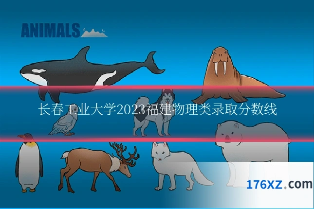 长春工业大学2023福建物理类录取分数线