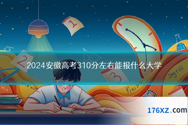 2024安徽高考310分左右能报什么大学