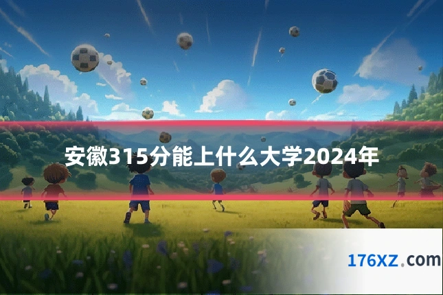 安徽315分能上什么大学2024年