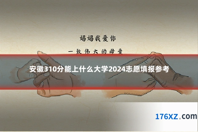 安徽310分能上什么大学2024志愿填报参考