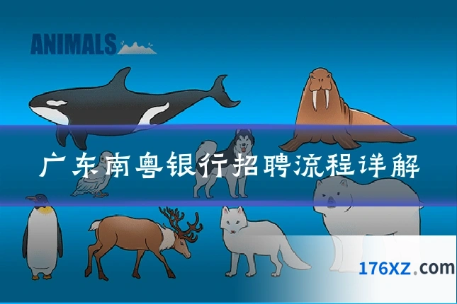 广东南粤银行招聘流程详解