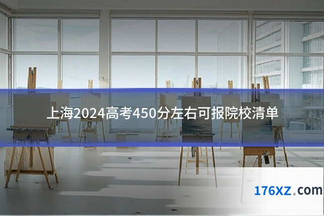 上海2024高考450分左右可报院校清单