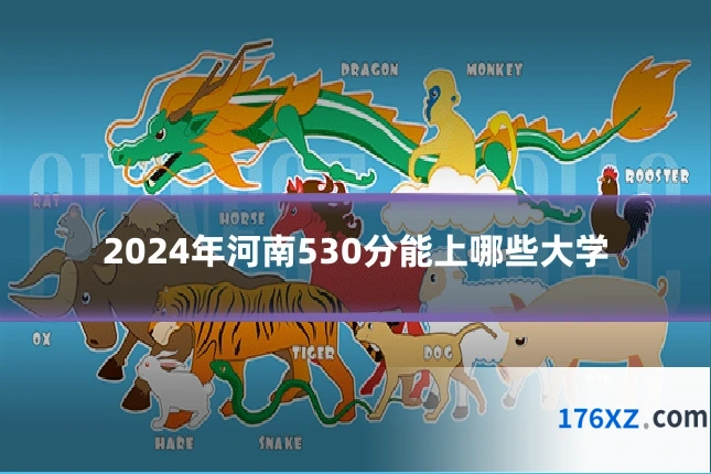 2024年河南530分能上哪些大学