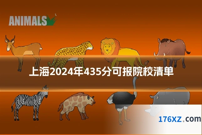 上海2024年435分可报院校清单