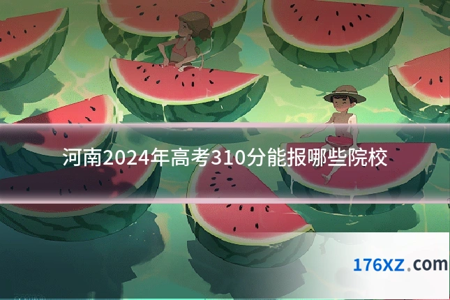 河南2024年高考310分能报哪些院校