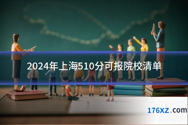 2024年上海510分可报院校清单
