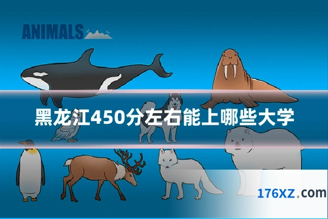 黑龙江450分左右能上哪些大学