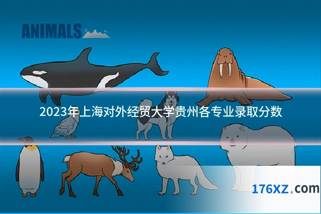 2023年上海对外经贸大学贵州各专业录取分数