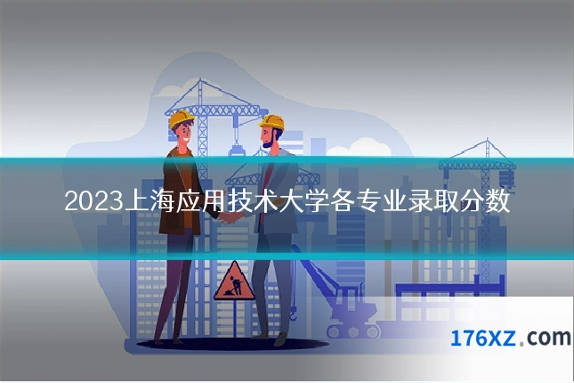 2023上海应用技术大学各专业录取分数