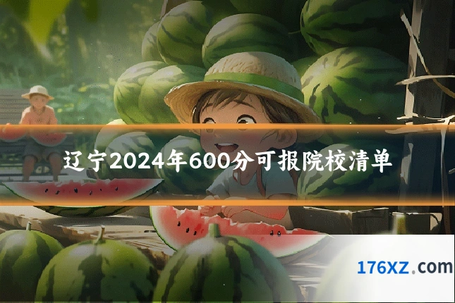 辽宁2024年600分可报院校清单