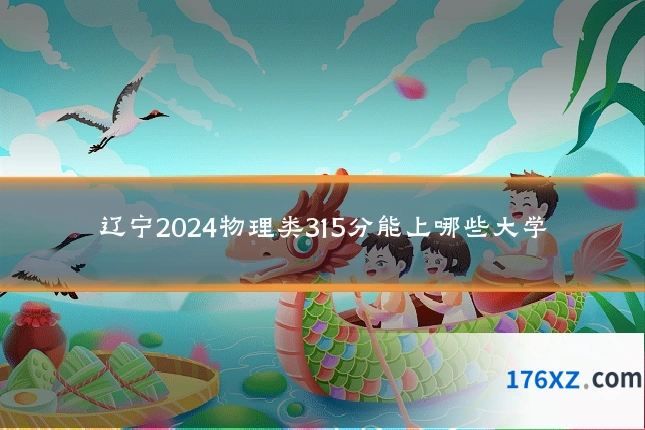 辽宁2024物理类315分能上哪些大学