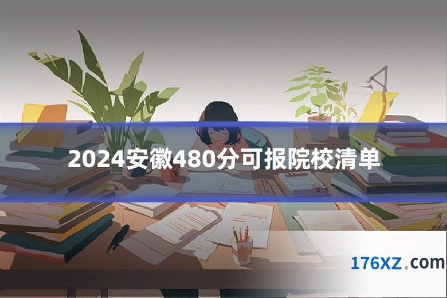 2024安徽480分可报院校清单