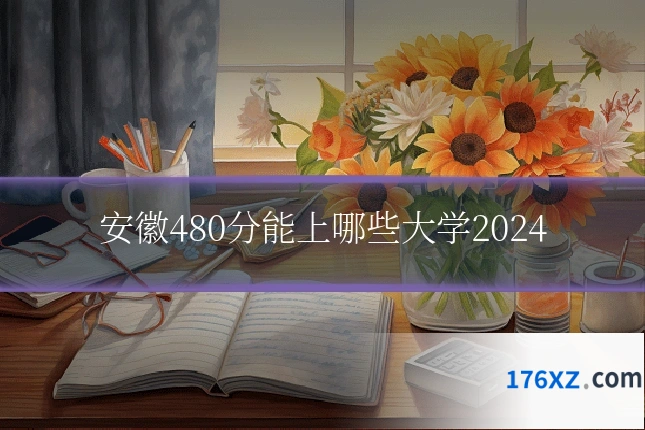 安徽480分能上哪些大学2024