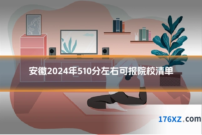 安徽2024年510分左右可报院校清单