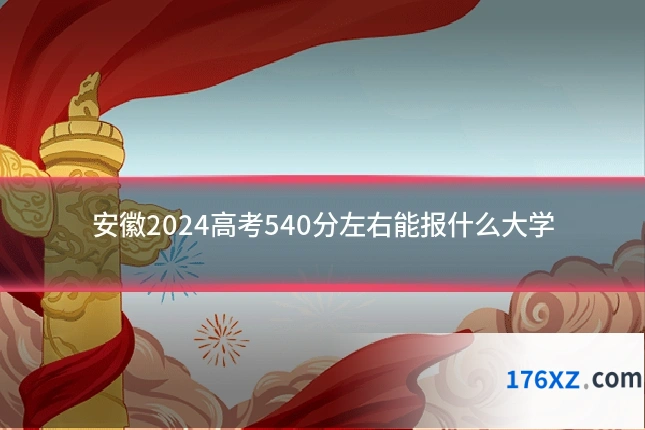 安徽2024高考540分左右能报什么大学