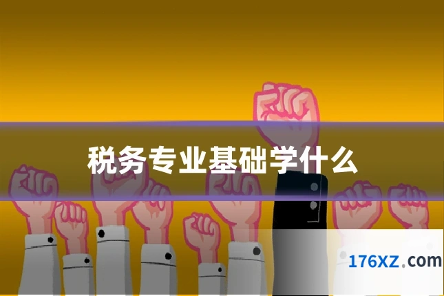税务专业基础学什么