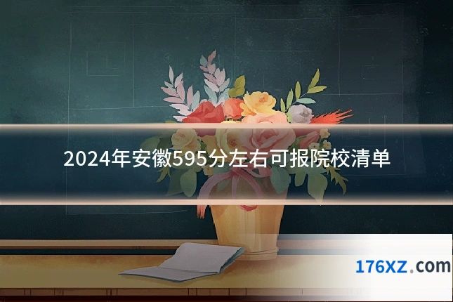 2024年安徽595分左右可报院校清单
