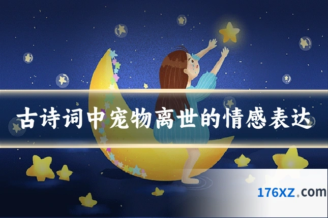 古诗词中宠物离世的情感表达