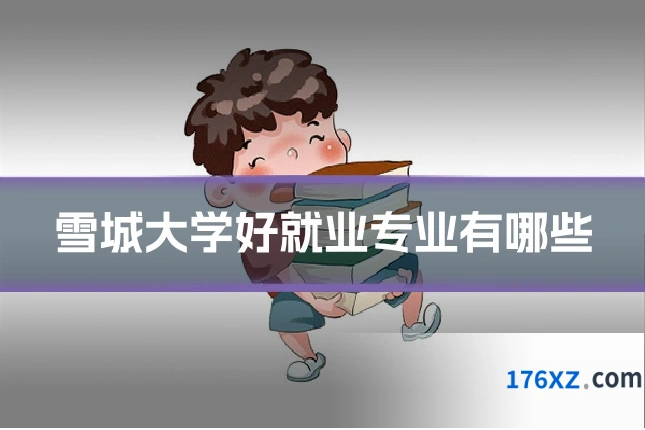 雪城大学好就业专业有哪些