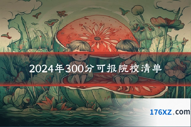 2024年300分可报院校清单