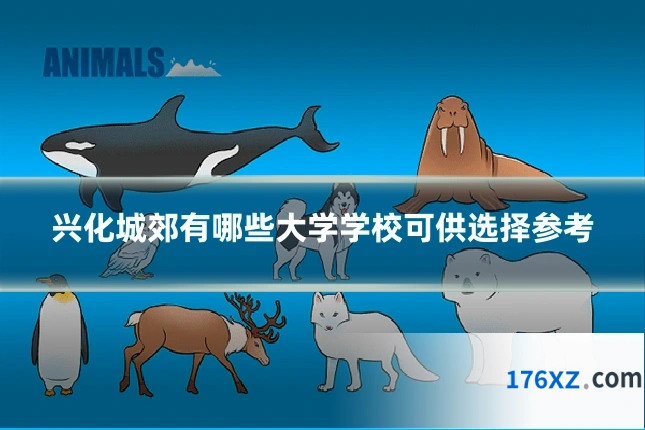 兴化城郊有哪些大学学校可供选择参考
