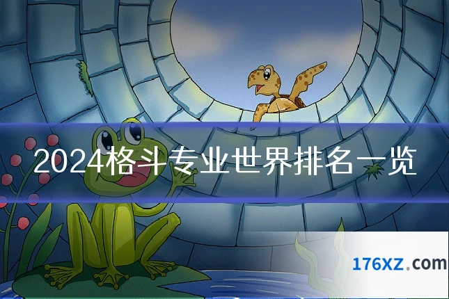 2024格斗专业世界排名一览