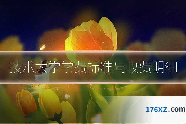 技术大学学费标准与收费明细