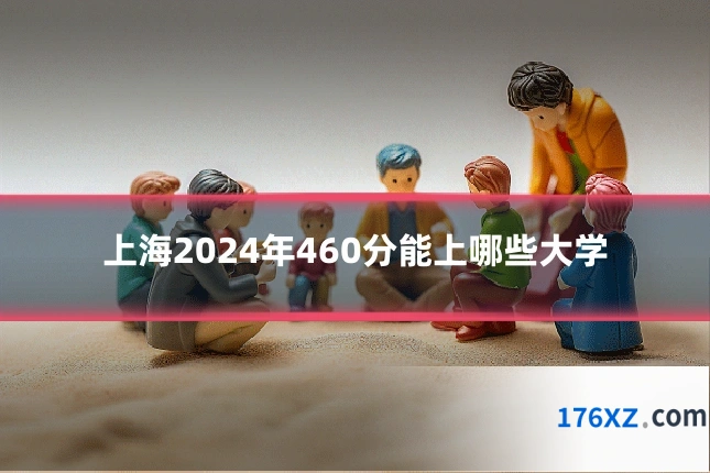 上海2024年460分能上哪些大学