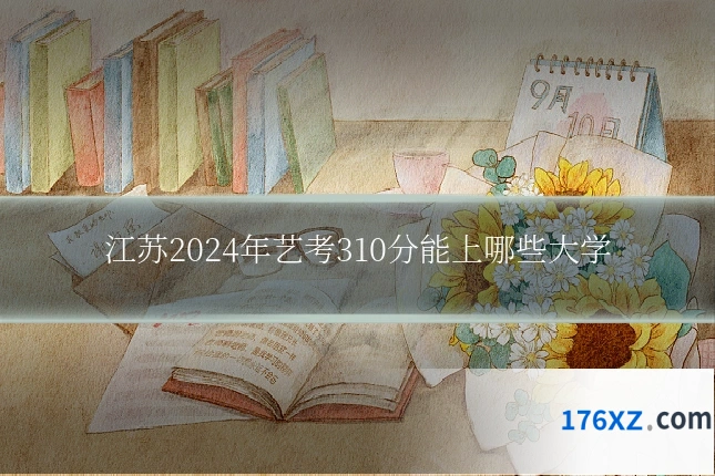 江苏2024年艺考310分能上哪些大学