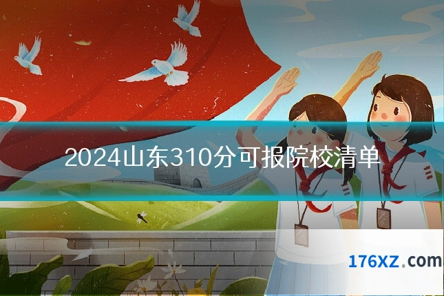 2024山东310分可报院校清单