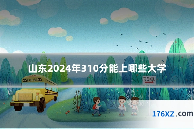 山东2024年310分能上哪些大学