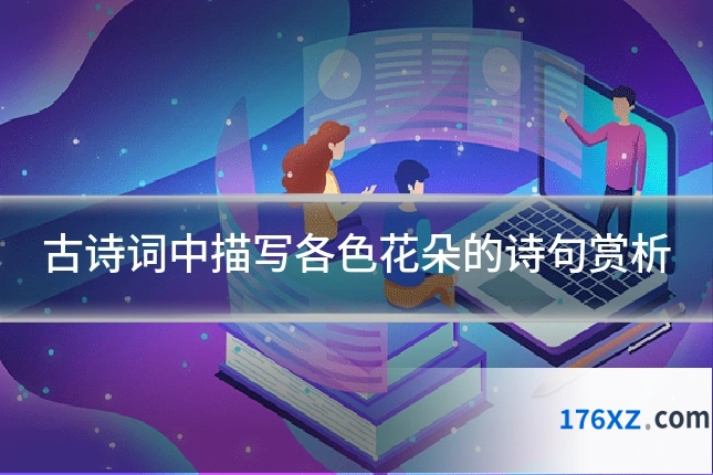 古诗词中描写各色花朵的诗句赏析