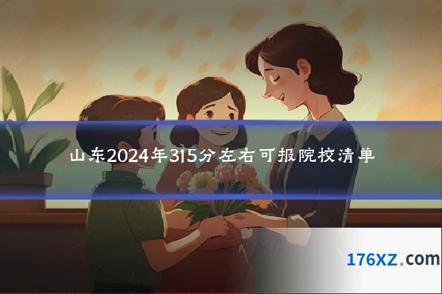 山东2024年315分左右可报院校清单