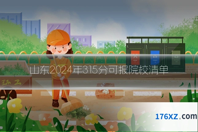 山东2024年315分可报院校清单