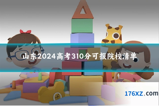山东2024高考310分可报院校清单