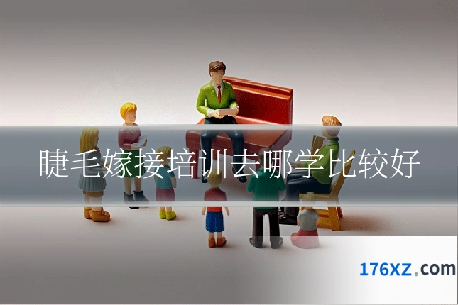 睫毛嫁接培训去哪学比较好