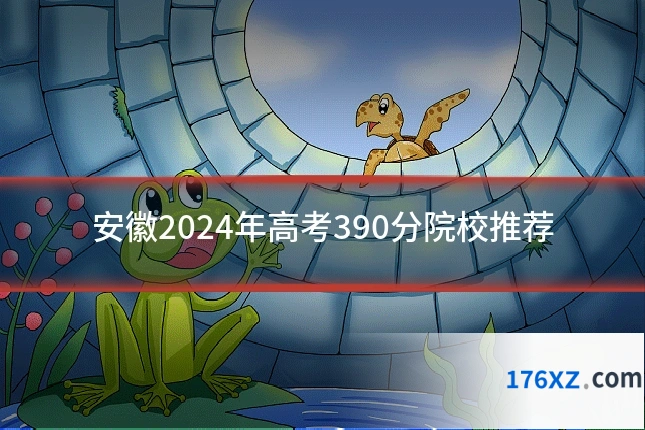 安徽2024年高考390分院校推荐