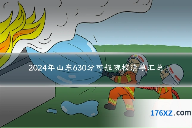2024年山东630分可报院校清单汇总