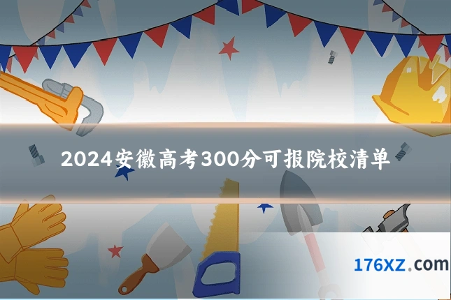 2024安徽高考300分可报院校清单