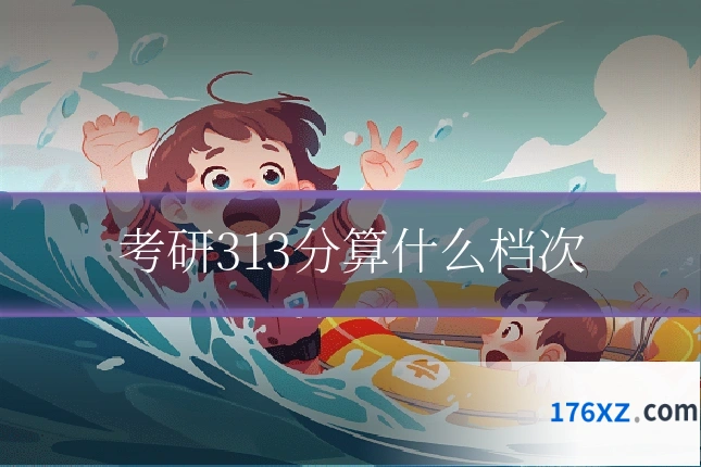 考研313分算什么档次