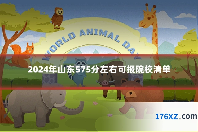 2024年山东575分左右可报院校清单
