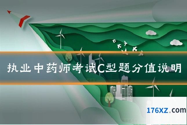 执业中药师考试C型题分值说明