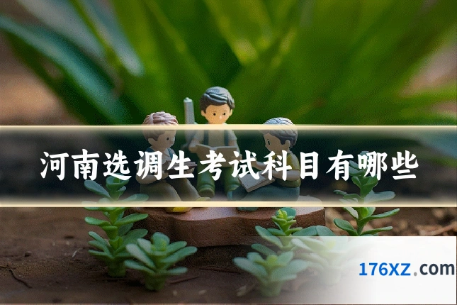 河南选调生考试科目有哪些