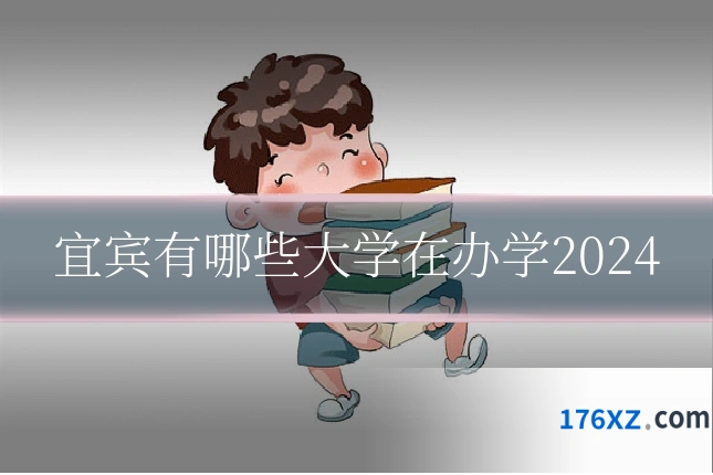 宜宾有哪些大学在办学2024