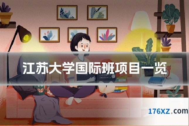 江苏大学国际班项目一览