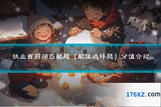 执业西药师匹配题（配伍选择题）分值介绍